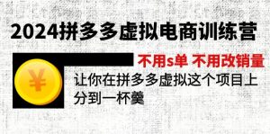 （12024期）2024拼多多虚拟电商训练营 不s单 不改销量  做虚拟项目分一杯羹(更新10节)-网创资源站