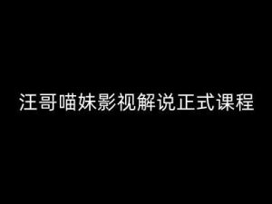 汪哥影视解说正式课程：剪映/PR教学/视解说剪辑5大黄金法则/全流程剪辑7把利器等等-网创资源站