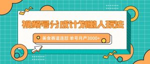 视频号分成计划懒人玩法，美食赛道连怼 单号月产3000+-网创资源站