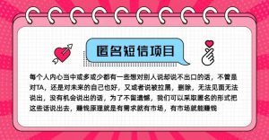 冷门小众赚钱项目，匿名短信，玩转信息差，月入五位数【揭秘】-网创资源站