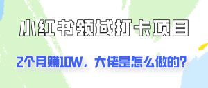 通过小红书领域打卡项目2个月赚10W，大佬是怎么做的？-网创资源站