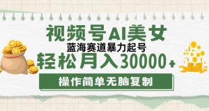 （12087期）视频号AI美女跳舞，轻松月入30000+，蓝海赛道，流量池巨大，起号猛，无…-网创资源站