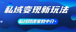 （12089期）私域变现新玩法，网课家教中介，只做渠道和流量，让大学生给你打工、0…-网创资源站