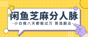 （12090期）闲鱼芝麻分人脉，小白做八天，都能过万！首选副业！-网创资源站