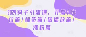 2024钩子引流课，开篇/定位篇/标签篇/破播放篇/涨粉篇-网创资源站