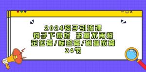2024钩子引流课：钩子下得好流量不再愁，定位篇/标签篇/破播放篇/24节-网创资源站