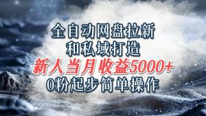 全自动网盘拉新和私域打造，0粉起步简单操作，新人入门当月收益5000以上-网创资源站