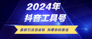 （12149期）24年抖音最新工具号日引流300+创业粉，日入5000+-网创资源站
