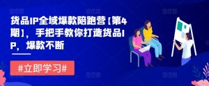 货品IP全域爆款陪跑营【第4期】，手把手教你打造货品IP，爆款不断-网创资源站
