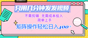（12159期）只用几分钟发发视频，不需剪辑，无需成本投入，简单上手，矩阵操作轻松…-网创资源站