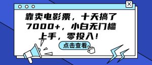 （12161期）靠卖电影票，十天搞了7000+，小白无门槛上手，零投入！-网创资源站