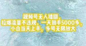 （12166期）视频号无人播剧，拉爆流量不违规，一天到手5000多，小白当天上手，多号…-网创资源站