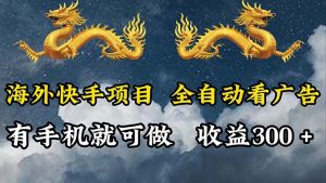 （12175期）海外快手项目，利用工具全自动看广告，每天轻松 300+-网创资源站