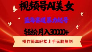 （12178期）视频号AI美女跳舞，轻松月入30000+，蓝海赛道，流量池巨大，起号猛，当…-网创资源站
