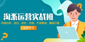 （12186期）淘系运营实战班：市场分析、定位、定价、引流、产品策划，爆品打造-网创资源站
