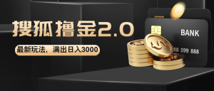 （12212期）搜狐撸金2.0最新玩法，无脑日入3000+，可无限扩大-网创资源站