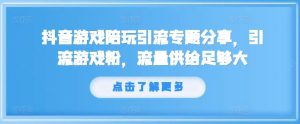抖音游戏陪玩引流专题分享，引流游戏粉，流量供给足够大-网创资源站