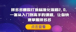 拼多多爆款打造标准化流程2.0，一套从入门到高手的课程，让你快速掌握拼多多-网创资源站