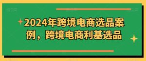 2024年跨境电商选品案例，跨境电商利基选品（更新）-网创资源站