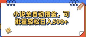 （12244期）小说全自动撸金，可批量日入500+-网创资源站
