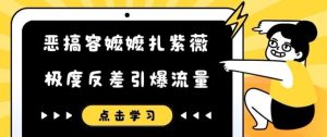 恶搞容嬷嬷扎紫薇短视频，极度反差引爆流量-网创资源站
