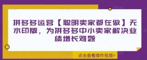 拼多多运营【聪明卖家都在做】无水印版，为拼多多中小卖家解决业绩增长难题-网创资源站