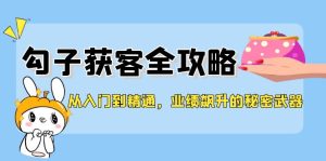 从入门到精通，勾子获客全攻略，业绩飙升的秘密武器-网创资源站