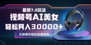 （12314期）视频号7.0最新玩法AI美女跳舞，轻松月入30000+-网创资源站