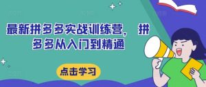 最新拼多多实战训练营， 拼多多从入门到精通-网创资源站