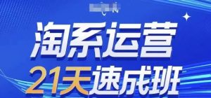 淘系运营21天速成班(更新24年8月)，0基础轻松搞定淘系运营，不做假把式-网创资源站