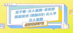 宝子哥·无人直播-非实时防风技术(更新8月)无人半无人直播-网创资源站