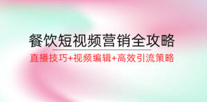 餐饮短视频营销全攻略：直播技巧+视频编辑+高效引流策略-网创资源站