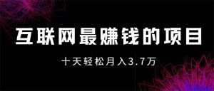 （12396期）互联网最赚钱的项目没有之一，轻松月入7万+，团队最新项目-网创资源站