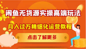 闲鱼无货源实操高端玩法，月入过万精细化运营教程-网创资源站