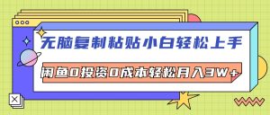 （12431期）无脑复制粘贴，小白轻松上手，电商0投资0成本轻松月入3W+-网创资源站