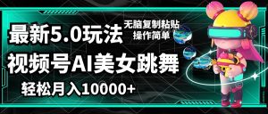 （12467期）视频号最新玩法，AI美女跳舞，轻松月入一万+，简单上手就会-网创资源站