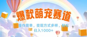 （12473期）视频号爆款赛道，操作简单，变现方式多，轻松日入1000+-网创资源站