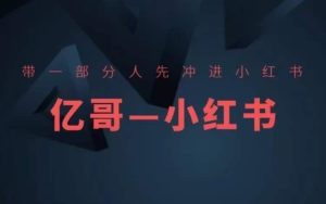 ​​带一部分人先冲进小红书，小红书开店、选品、爆款裂变-网创资源站