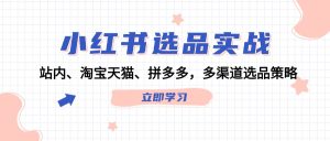 小红书选品实战：站内、淘宝天猫、拼多多，多渠道选品策略-网创资源站