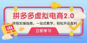 拼多多虚拟项目2.0：终极实操指南，一站式教学，轻松开店盈利-网创资源站