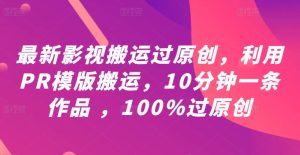 最新影视搬运过原创，利用PR模版搬运，10分钟一条作品 ，100%过原创【教程+PR模板】-网创资源站