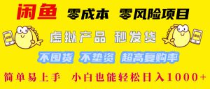 闲鱼 零成本 零风险项目 虚拟产品秒发货 不囤货 不垫资 超高复购率  简…-网创资源站
