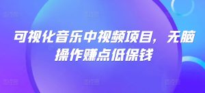 可视化音乐中视频项目，无脑操作赚点低保钱-网创资源站