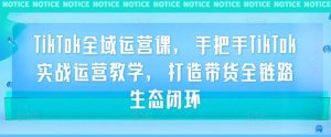 TikTok全域运营课，手把手TikTok实战运营教学，打造带货全链路生态闭环-网创资源站
