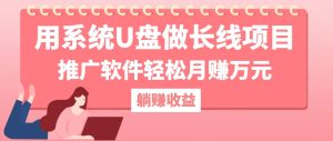 用系统U盘做长线项目，推广软件轻松月赚万元(附制作教程+软件-网创资源站