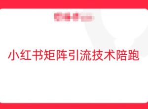 小红书矩阵引流技术，教大家玩转小红书流量-网创资源站