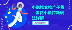 小说推文推广干货—蛋花小说拉新玩法详解-网创资源站