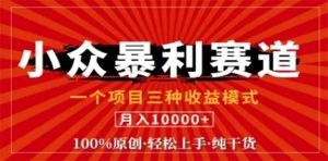 视频号最新爆火赛道，三种可收益模式，0粉新号条条原创条条热门 日入1000+-网创资源站