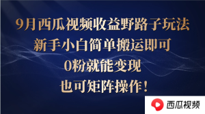 西瓜视频收益野路子玩法，新手小白简单搬运即可，0粉就能变现，也可矩…-网创资源站