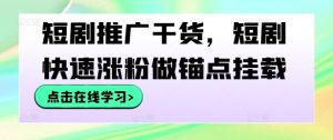 短剧推广干货，短剧快速涨粉做锚点挂载-网创资源站